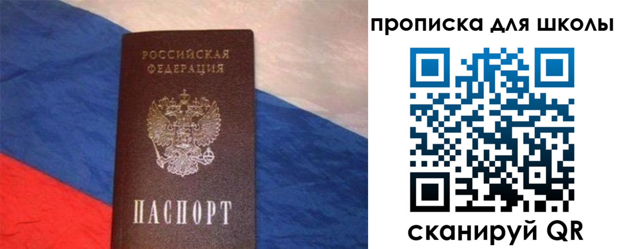 прописка поиск в Светогорске